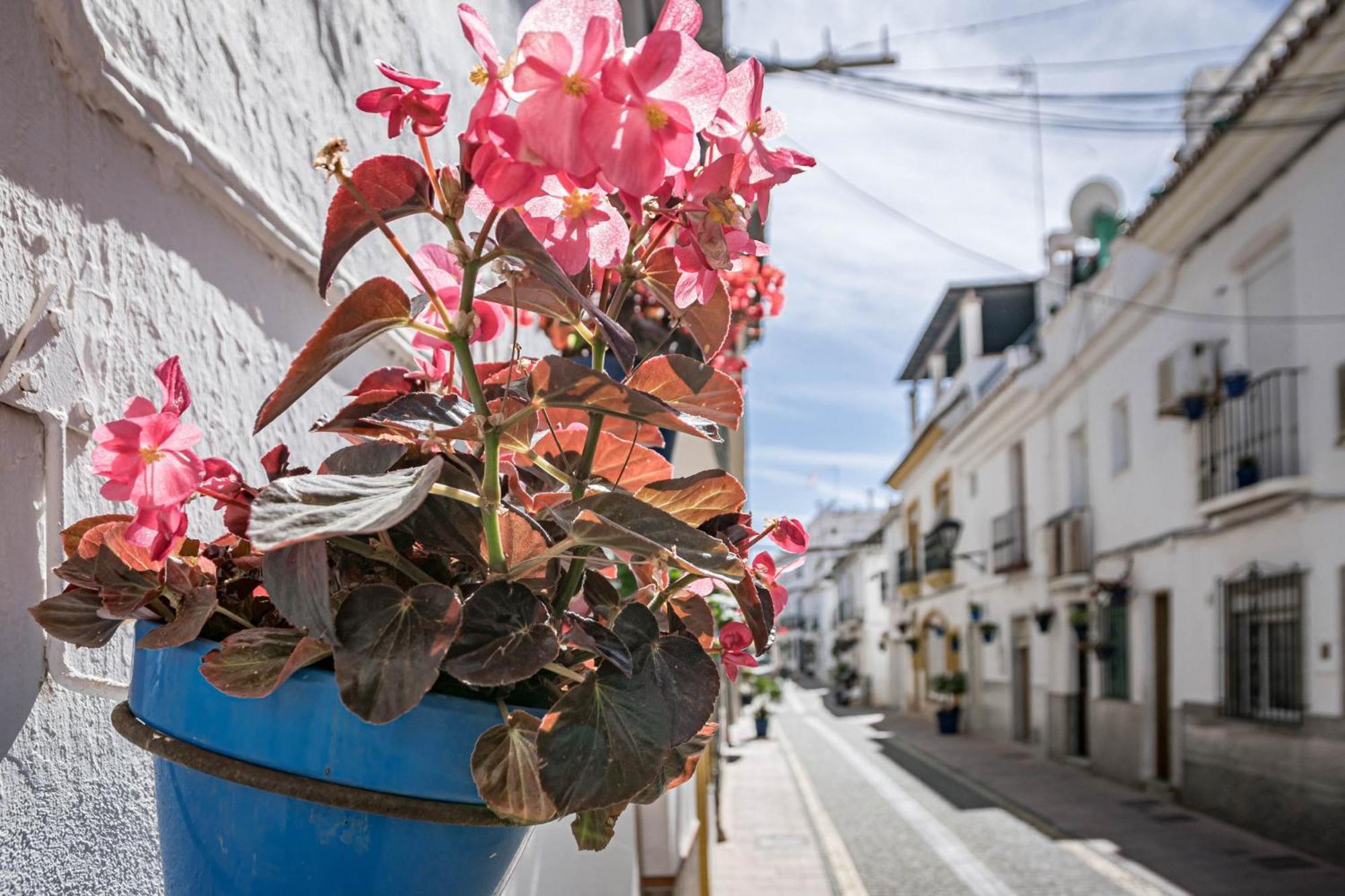Seaclub Suites Estepona Exterior foto